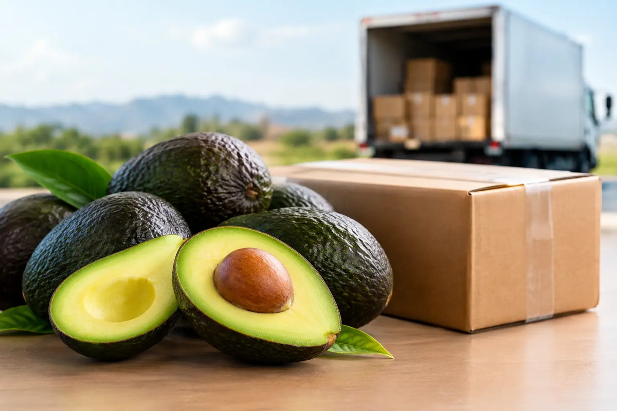 Can You Ship Avocados Nationwide? Yes, You Can