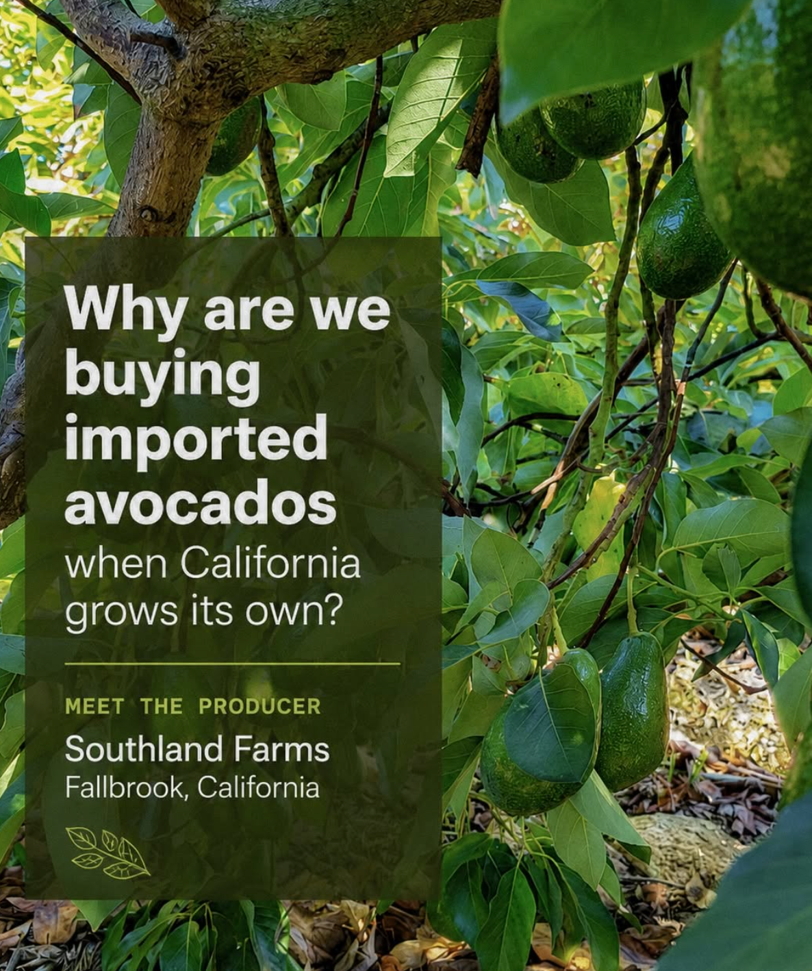Southland Farms Featured in The Fine Dining Journal