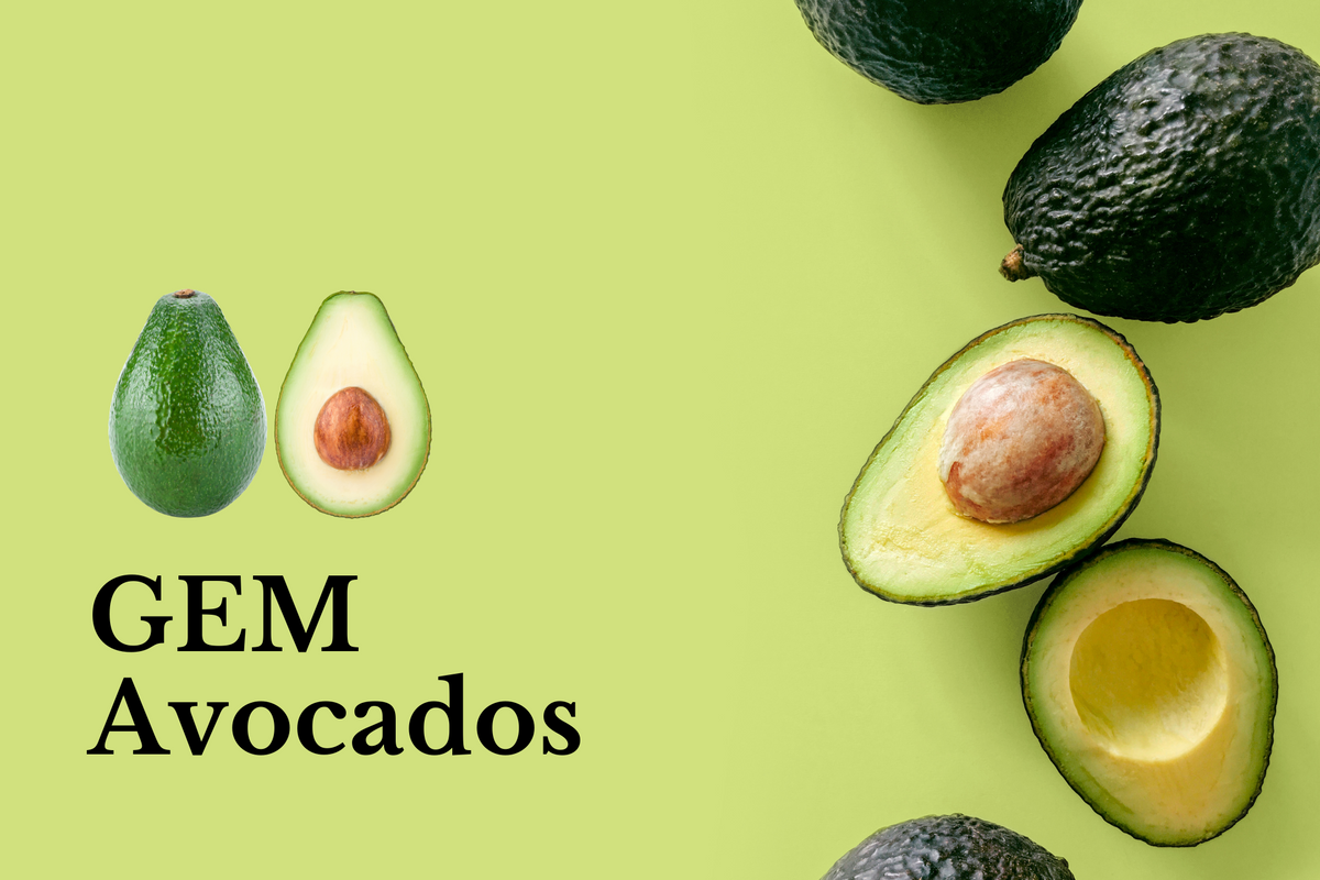 Fallbrook Organic Avocados by Southland Farms – FALLBROOK Avocados