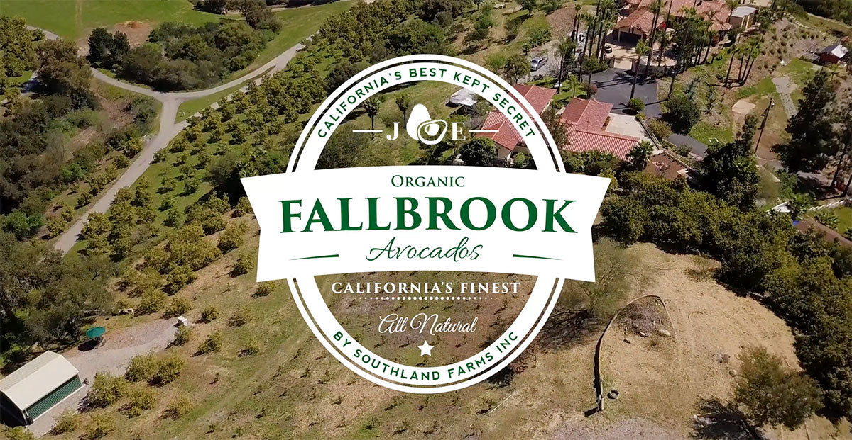 About Fallbrook Avocados – FALLBROOK Avocados